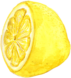 illustration of a lemon